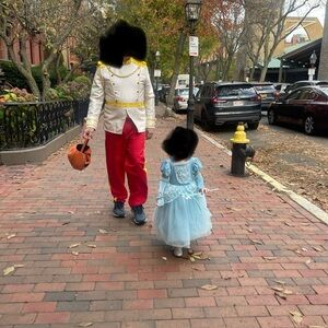 Prince Charming Men’s Costume (L)